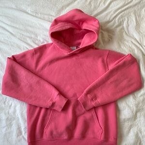 Aritzia Perfect Hoodie